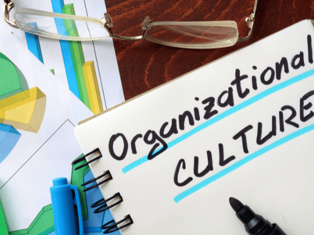 Strategisches Management und Unternehmenskultur: Langfristige Auswirkungen auf Leistung und Zufriedenheit
